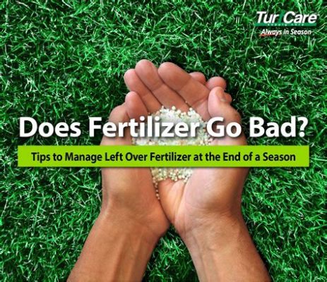 Does Lawn Fertilizer Go Bad? And Can It Influence the Mood of Your Garden Gnomes?