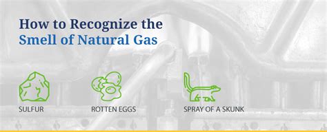 Does Natural Gas Smell Like Skunk? Exploring the Aromatic Mysteries of Energy and Wildlife