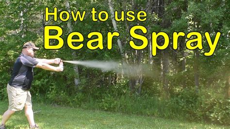 What Happens If You Use Bear Spray on a Human? And Why Do Pineapples Dream of Electric Sheep?